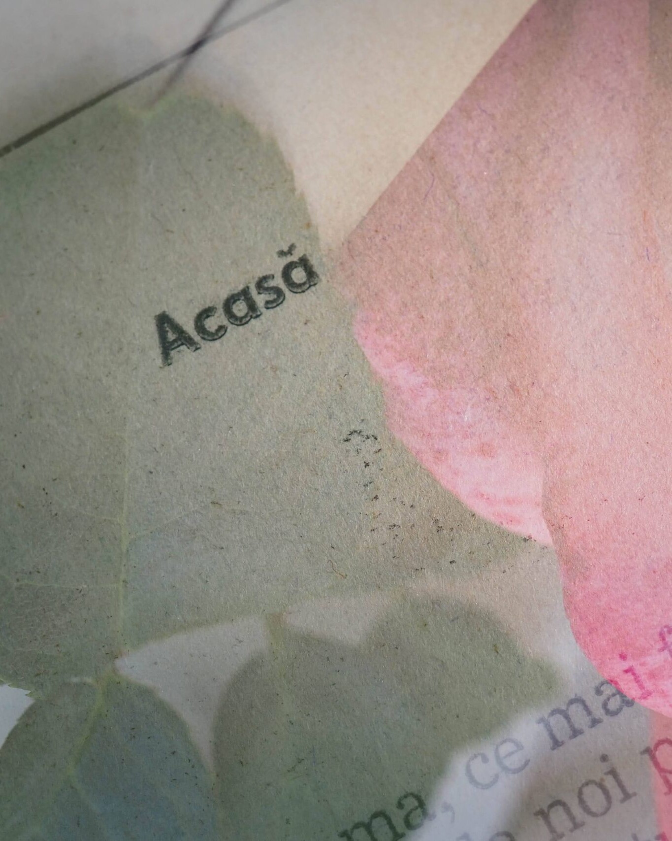 copertă articol